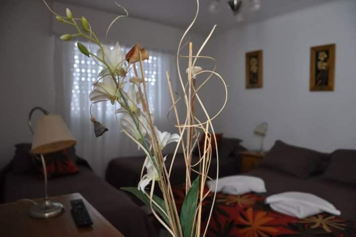 Hosteria La Casa De Ketty Puerto San Julian Extérieur photo